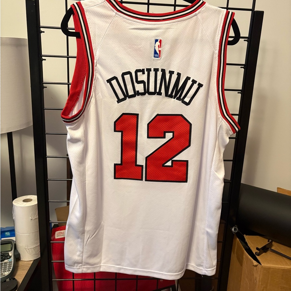 Chicago Bulls Basketball Jerseys - Picture 5 of 6